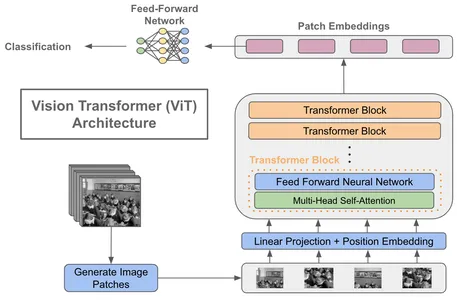 components of vision transformers | vision transformers in agriculture