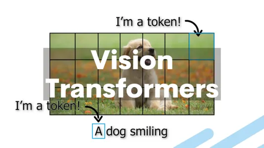 vision transformers in agriculture