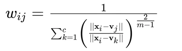 FCM formula