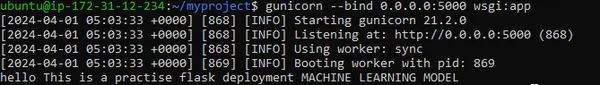 Step 6: Gunicorn Configuration